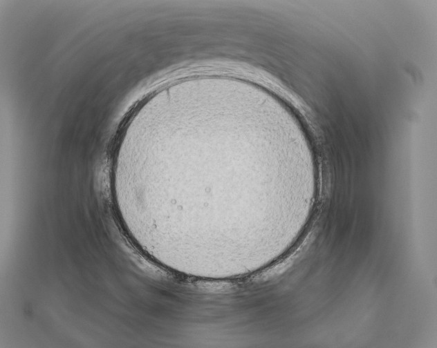 X0000111191498200908121036