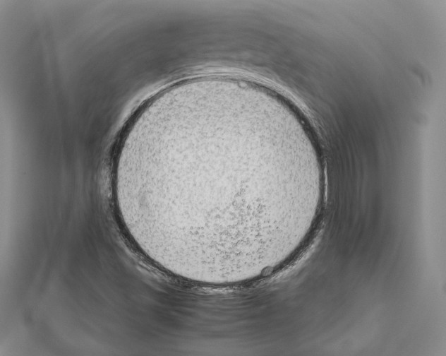 X0000111191501200908121036