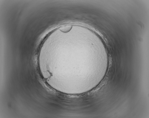 X0000111191503200908121036