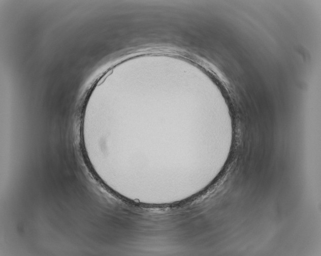 X0000111191504200908121036