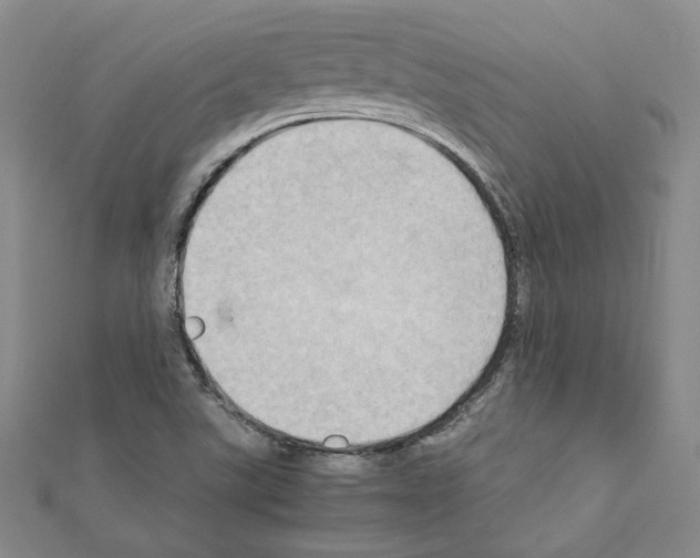 X0000111191507200908121036