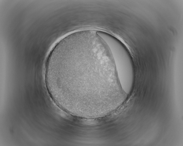 X0000111191508200908121036