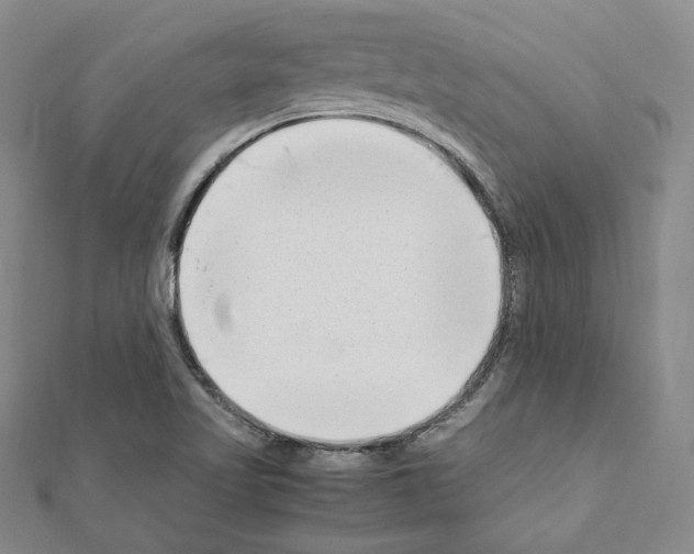 X0000111191509200908121036