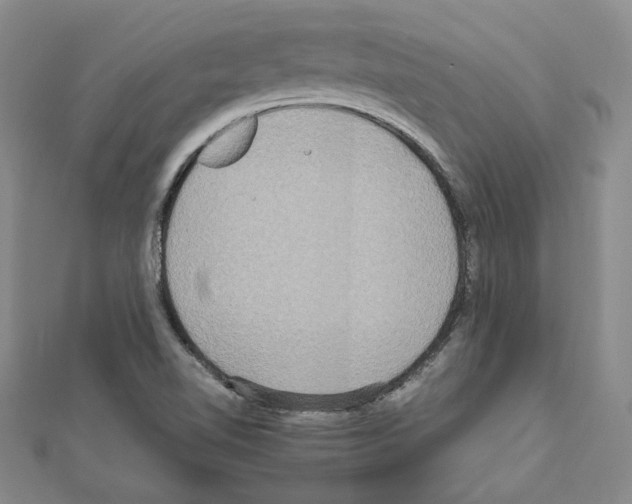 X0000111191510200908121036