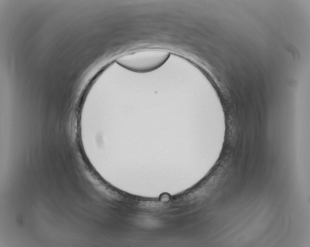 X0000111191511200908121036