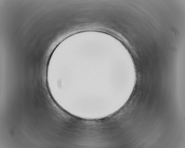 X0000111191512200908121036