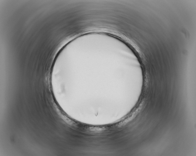 X0000111191513200908121036