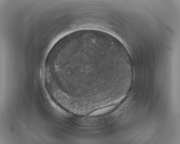 X0000111191515200908121036