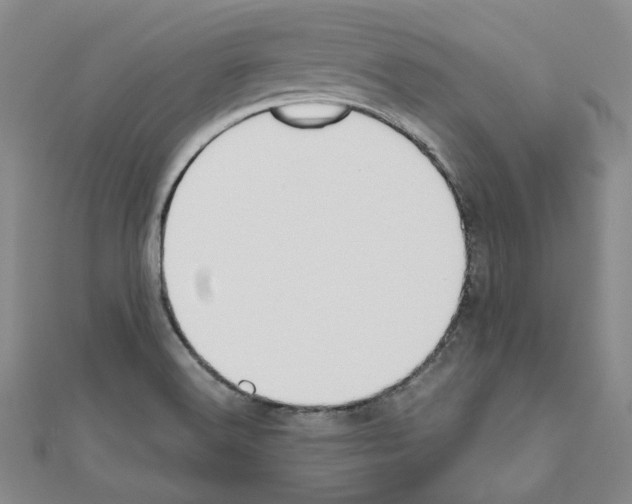 X0000111191516200908121036