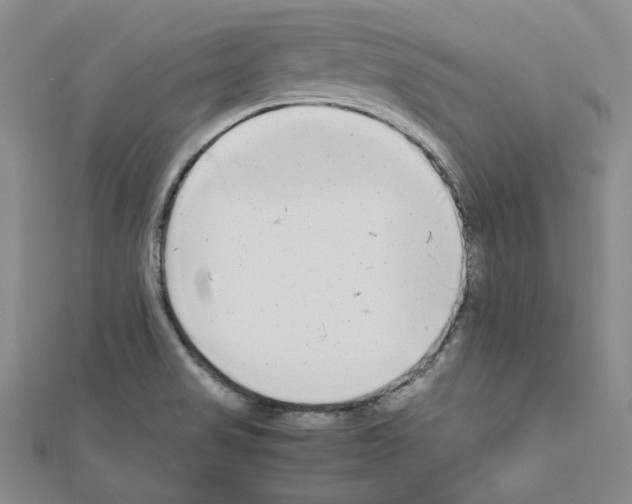 X0000111191517200908121036