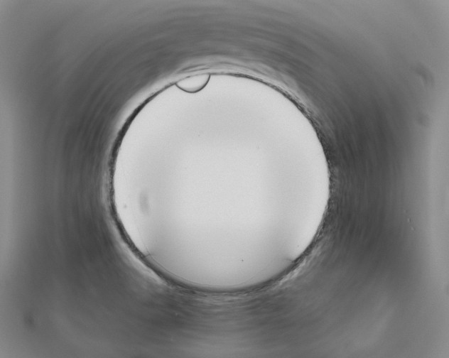 X0000111191518200908121036