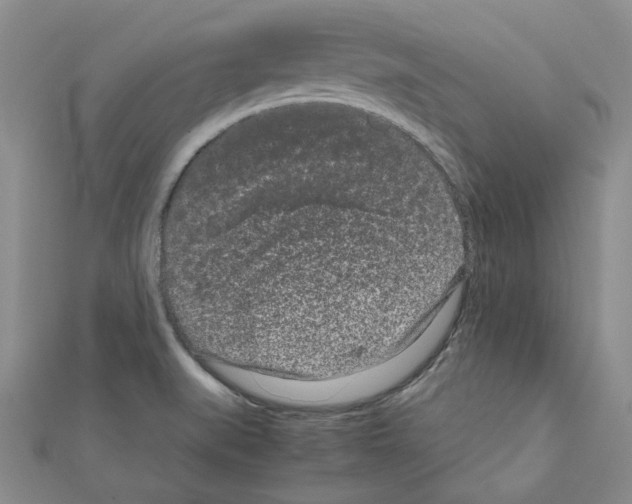X0000111191519200908121036