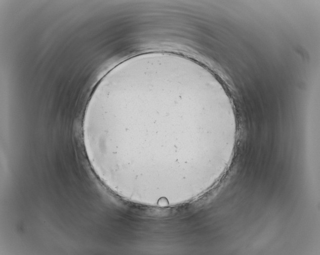 X0000111191521200908121036