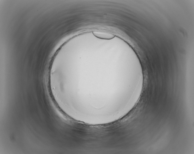 X0000111191523200908121036