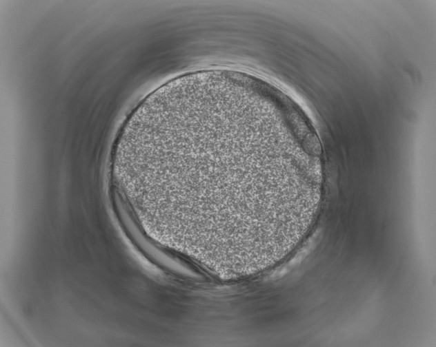 X0000111191525200908121036