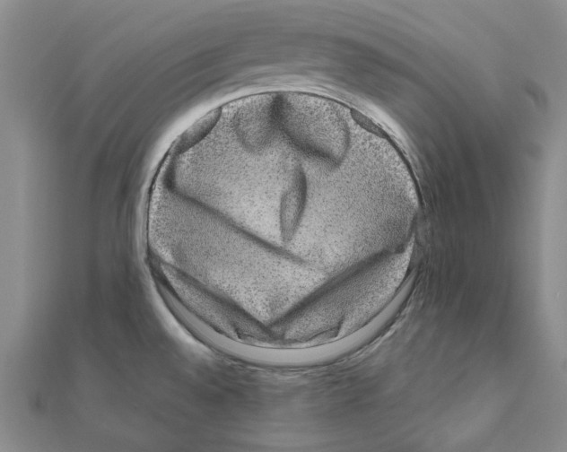 X0000111191528200908121036