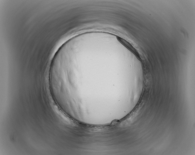 X0000111191530200908121036