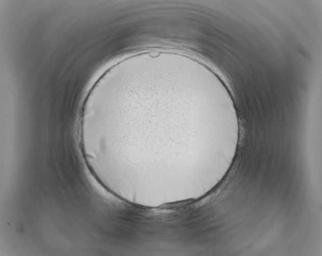 X0000111191531200908121036