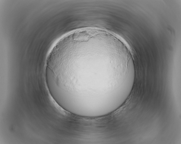 X0000111191532200908121036