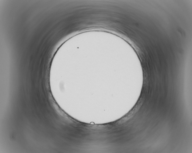 X0000111191534200908121036
