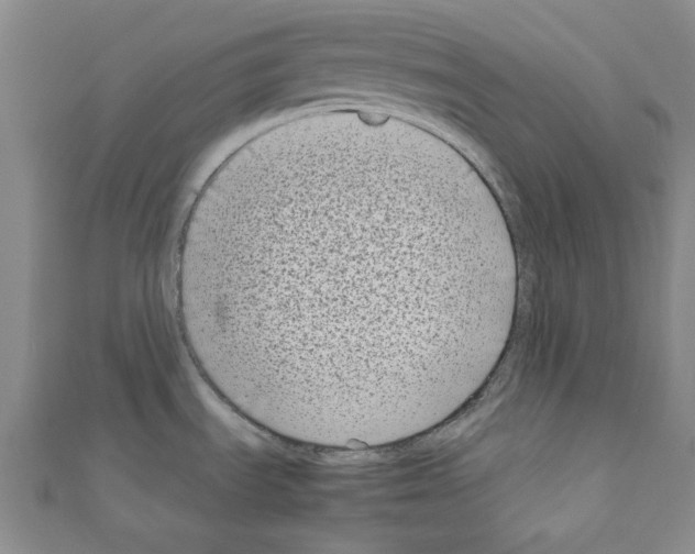 X0000111191535200908121036