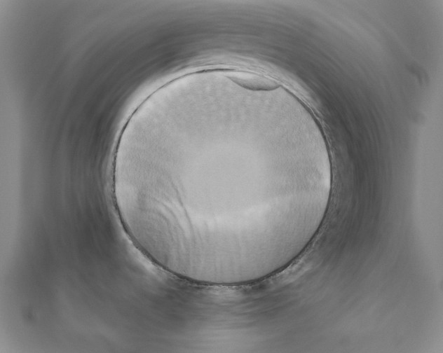 X0000111191536200908121036