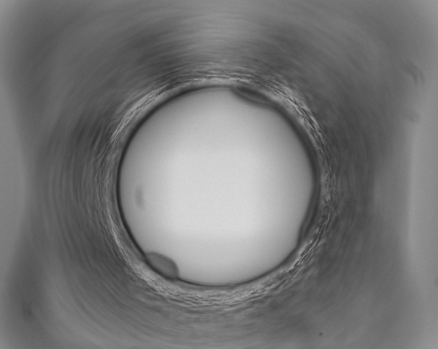 X0000111200001200907011039