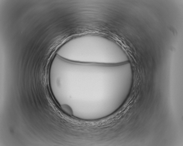 X0000111200002200907011039