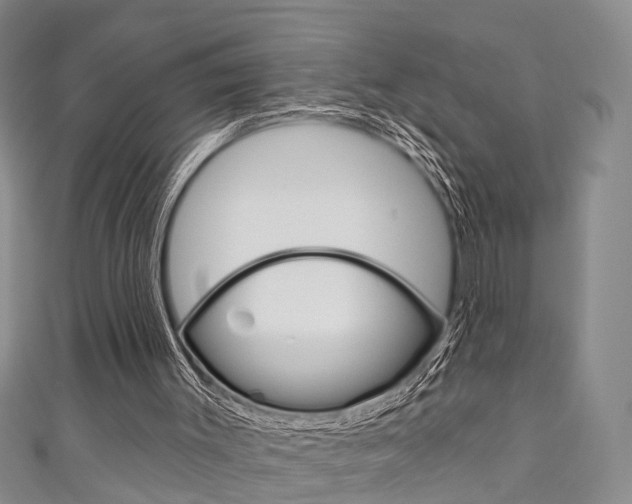 X0000111200003200907011039