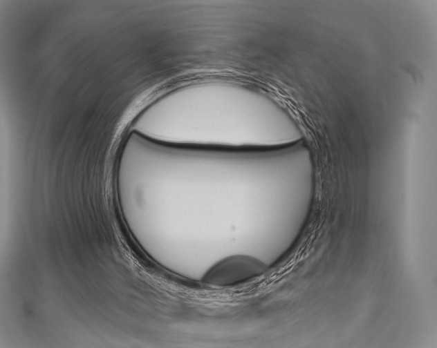 X0000111200004200907011039