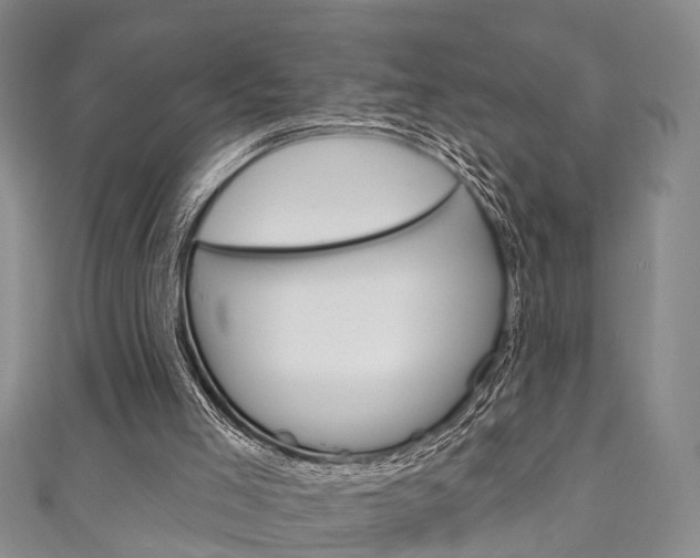 X0000111200005200907011039