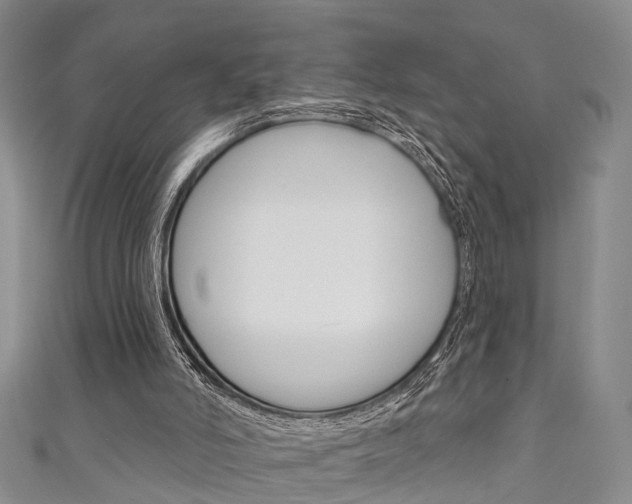 X0000111200006200907011039