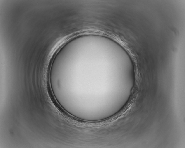 X0000111200007200907011039