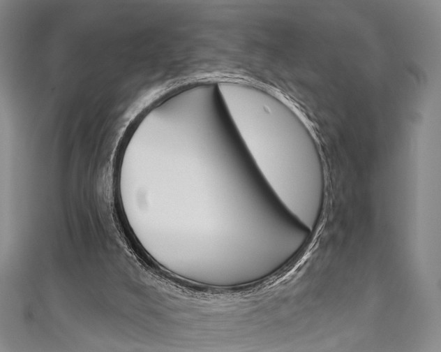 X0000111200008200907011039