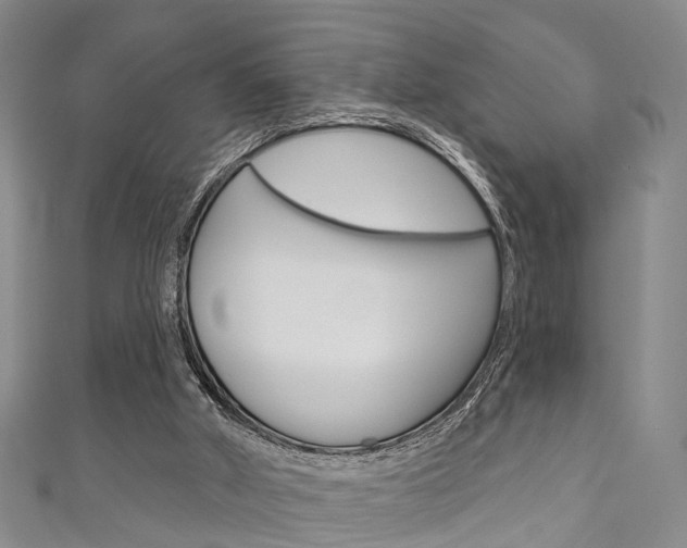 X0000111200010200907011039
