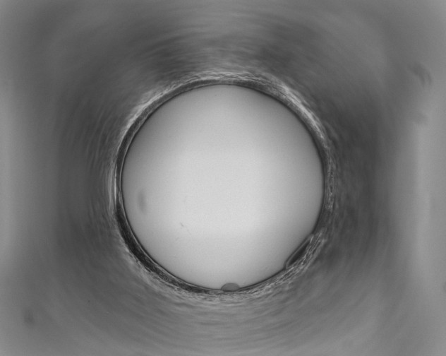 X0000111200011200907011039