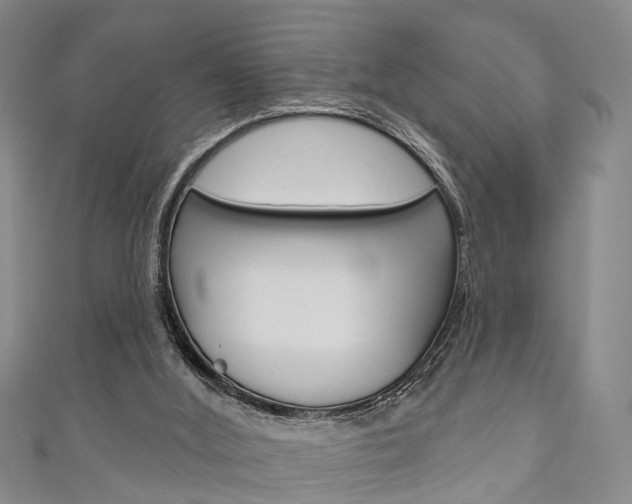 X0000111200012200907011039