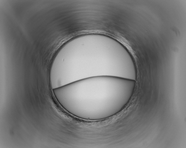 X0000111200013200907011039