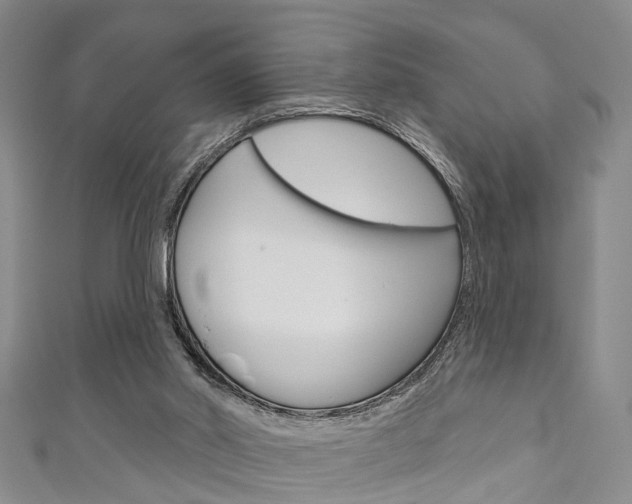 X0000111200014200907011039