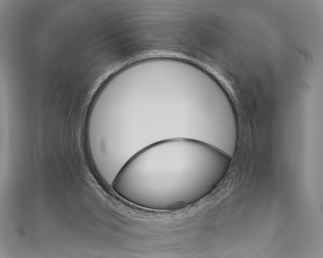 X0000111200015200907011039