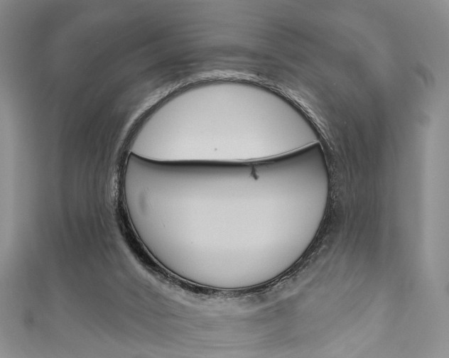 X0000111200016200907011039