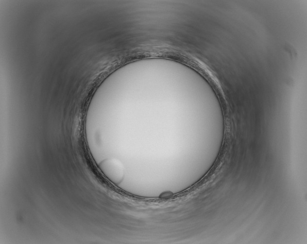 X0000111200018200907011039