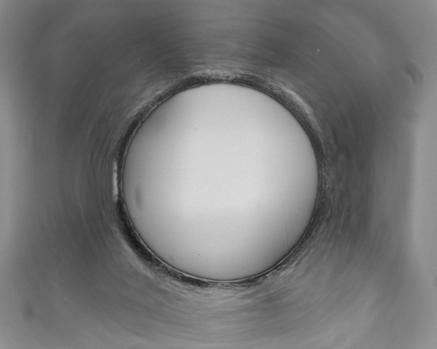 X0000111200020200907011039