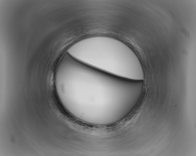 X0000111200024200907011039