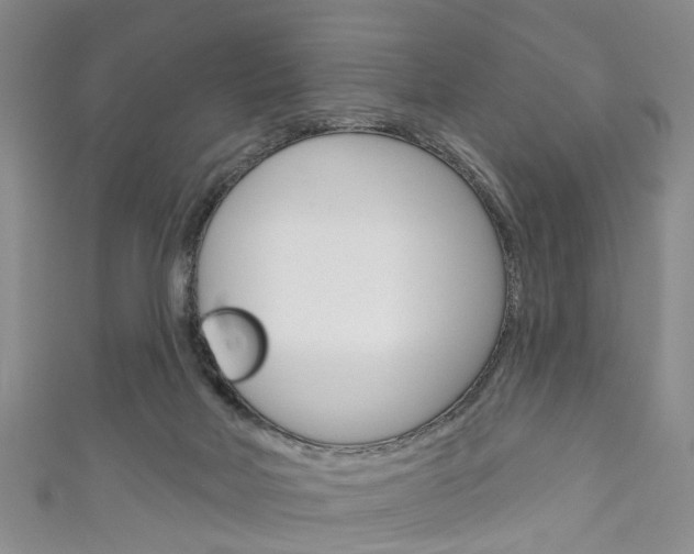 X0000111200026200907011039