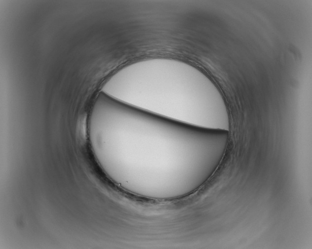 X0000111200028200907011039