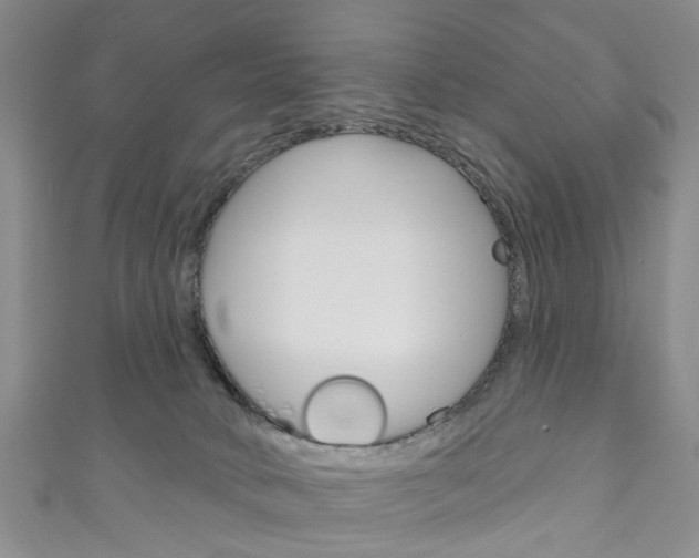 X0000111200034200907011039