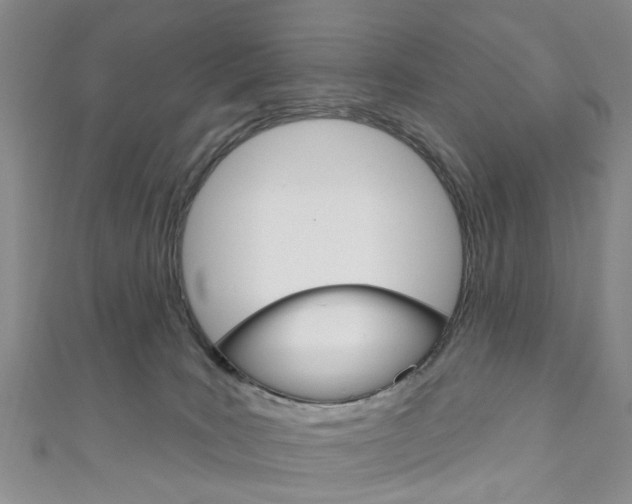 X0000111200035200907011039