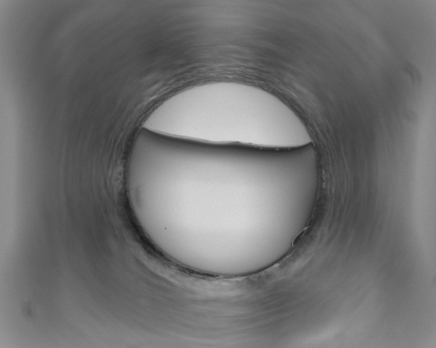 X0000111200036200907011039