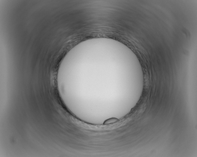 X0000111200038200907011039